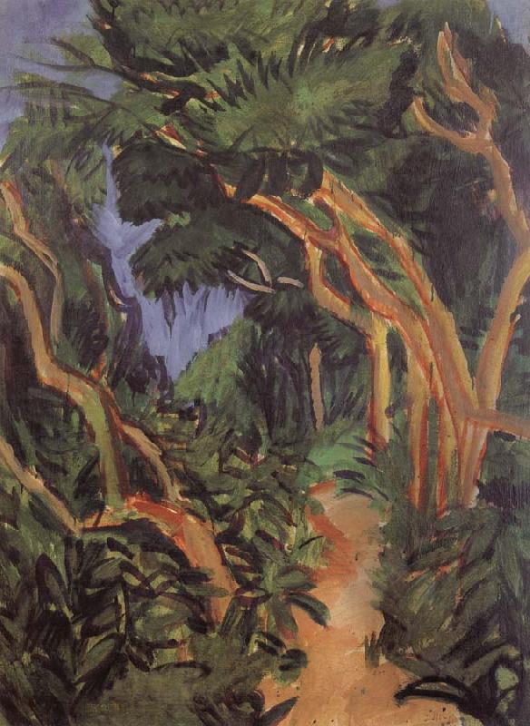 Ernst Ludwig Kirchner Fehmarn Landscape-forest path oil painting image